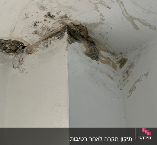 תקרה עם סימני רטיבות ועובש בפינה